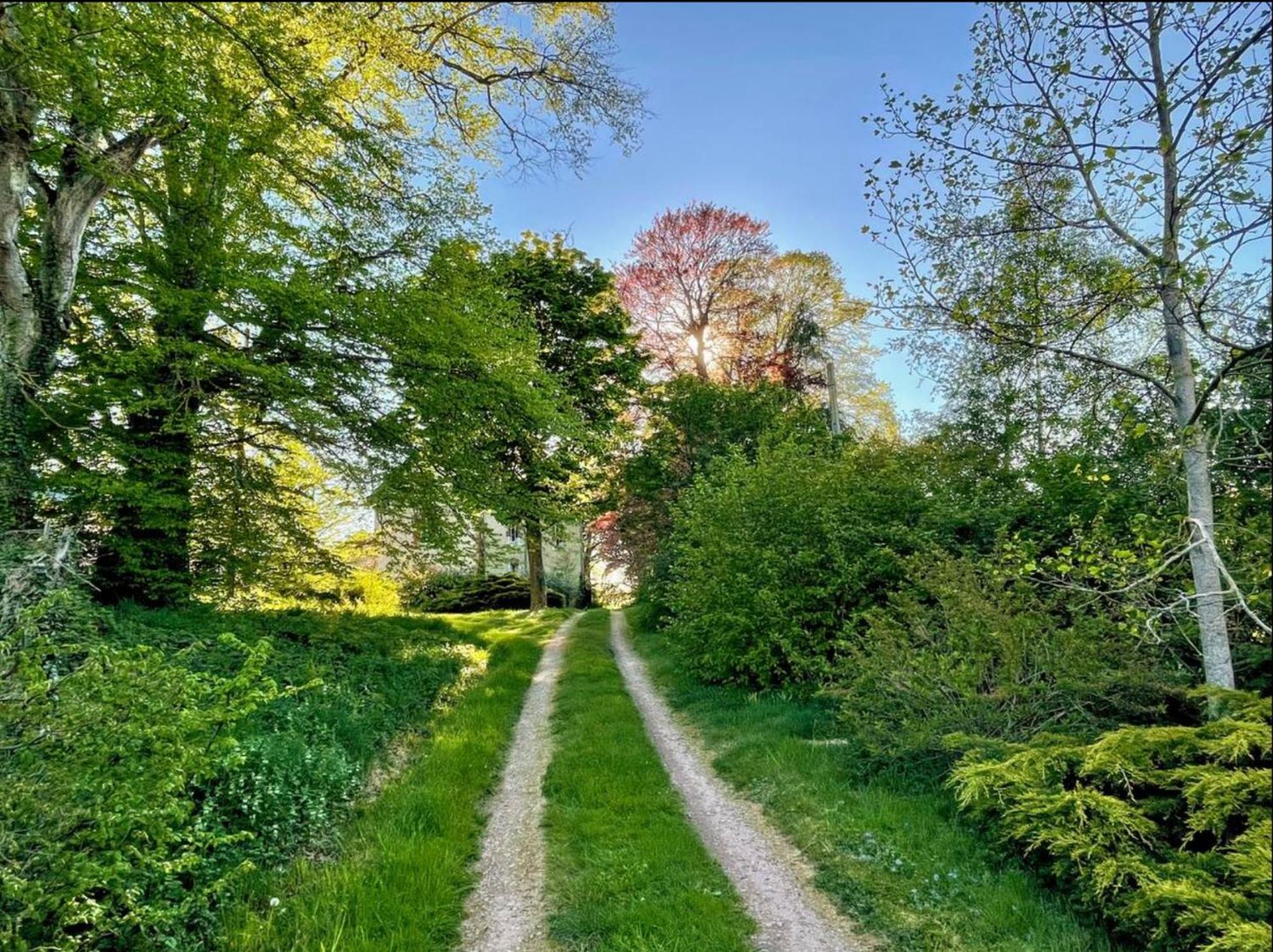 Château de la Combe La Celle  Extérieur photo