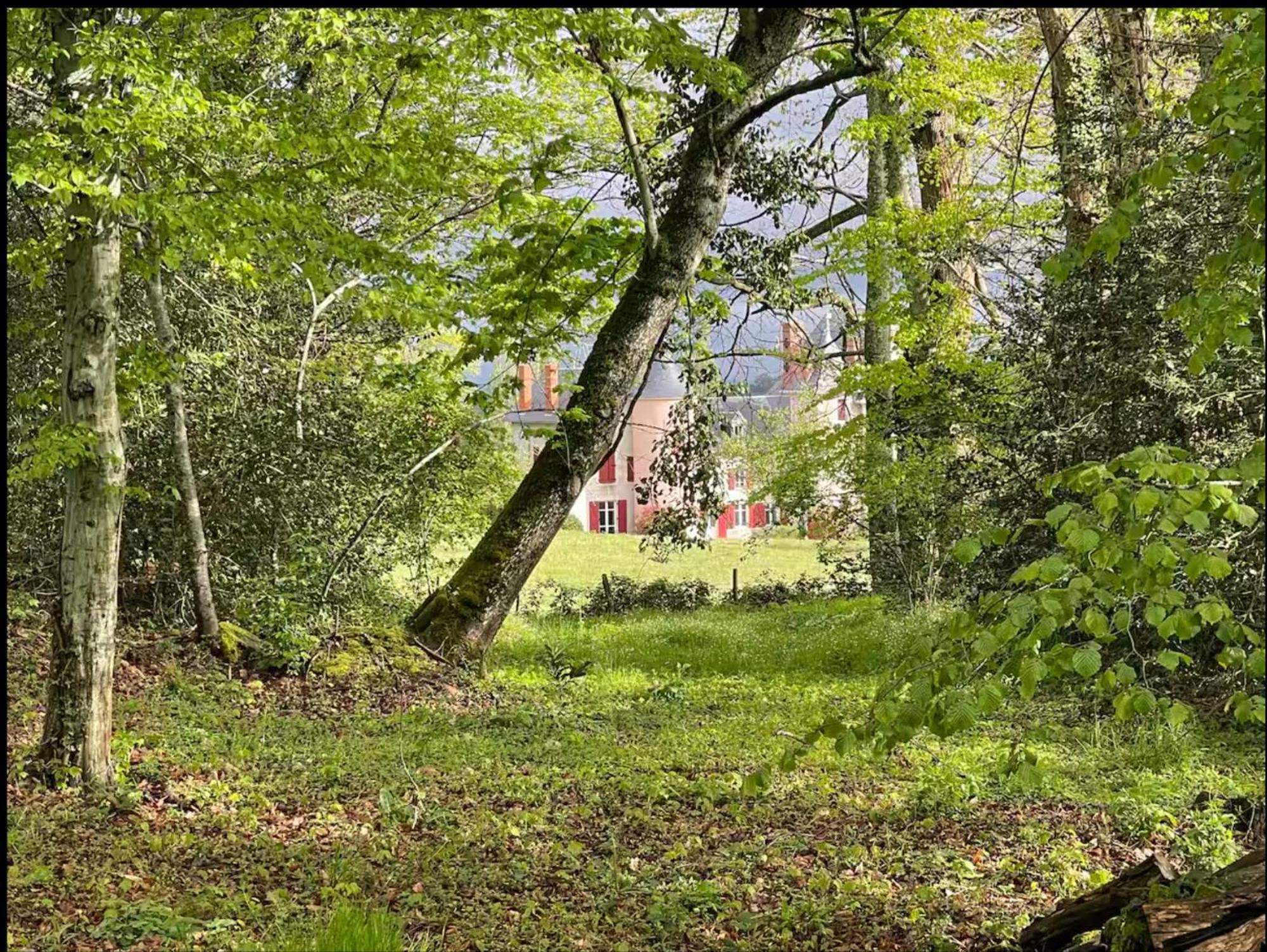 Château de la Combe La Celle  Extérieur photo